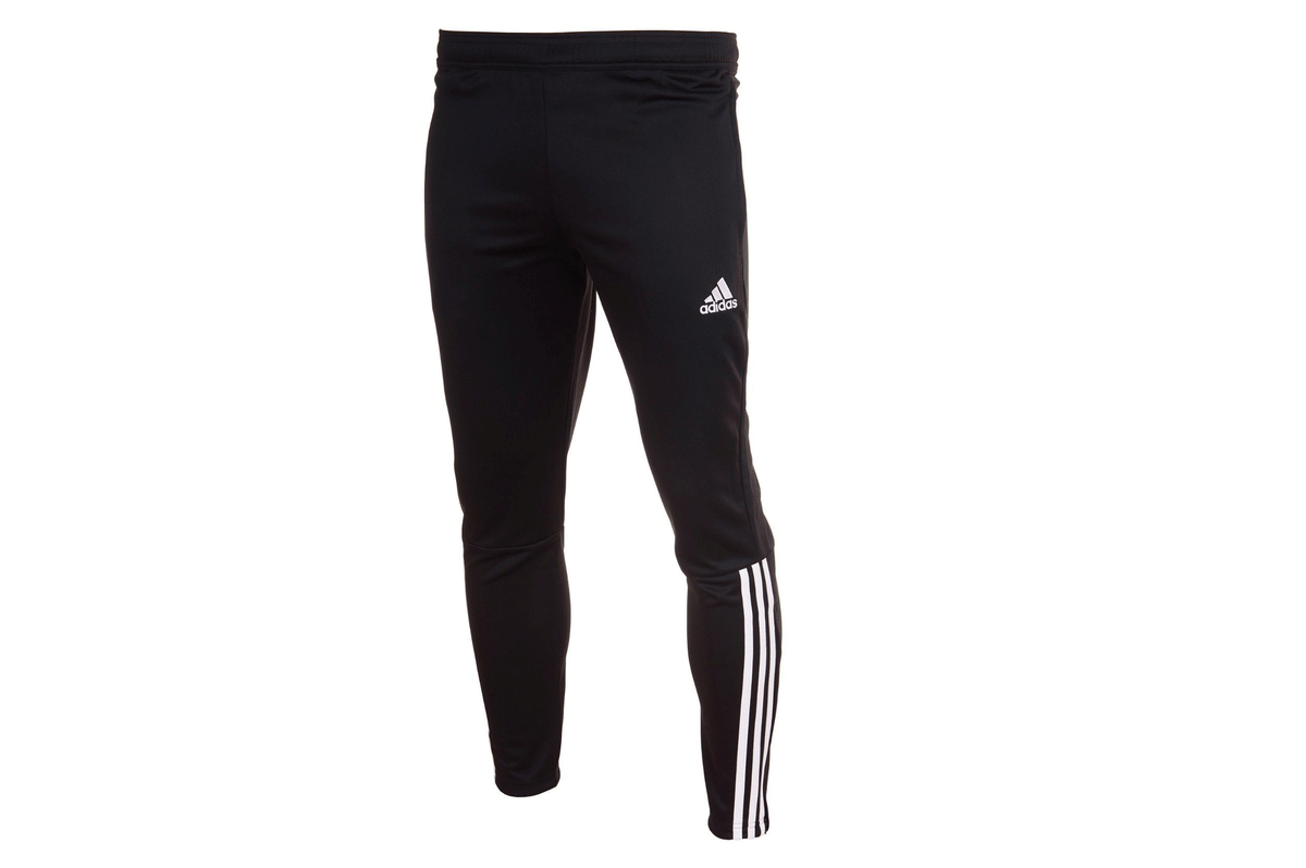 regista 18 training top
